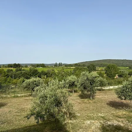 Des Cerisiers Hébergement de vacances